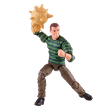 MARVEL LEGENDS 6IN VINTAGE SANDMAN AF