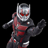 MARVEL LEGENDS 6IN ANT-MAN 3 ANT-MAN AF