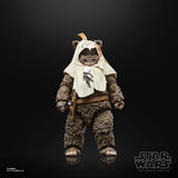 STAR WARS BLACK SERIES 6IN 40TH ANN PAPLOO AF