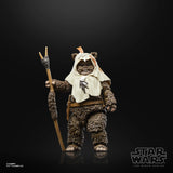 STAR WARS BLACK SERIES 6IN 40TH ANN PAPLOO AF