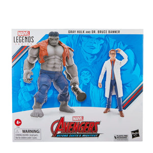 MARVEL LEGENDS 6IN GREY HULK AND DR BRUCE BANNER AF