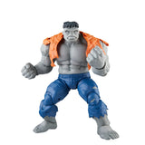 MARVEL LEGENDS 6IN GREY HULK AND DR BRUCE BANNER AF