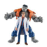 MARVEL LEGENDS 6IN GREY HULK AND DR BRUCE BANNER AF
