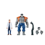 MARVEL LEGENDS 6IN GREY HULK AND DR BRUCE BANNER AF