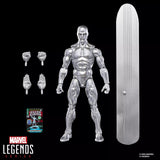 MARVEL LEGENDS 6IN SILVER SURFER AF