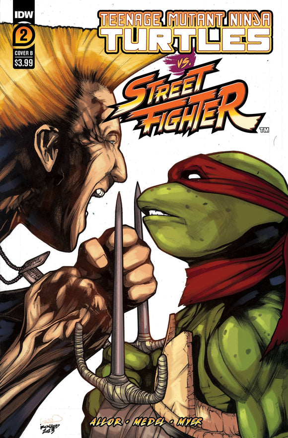 TMNT VS STREET FIGHTER #2 (OF 5) CVR B SANCHEZ