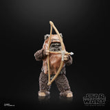 STAR WARS BLACK SERIES 6IN 40TH ANN WICKET AF