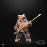 STAR WARS BLACK SERIES 6IN 40TH ANN WICKET AF