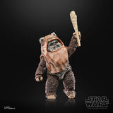 STAR WARS BLACK SERIES 6IN 40TH ANN WICKET AF
