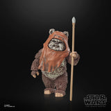 STAR WARS BLACK SERIES 6IN 40TH ANN WICKET AF
