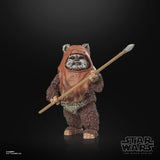 STAR WARS BLACK SERIES 6IN 40TH ANN WICKET AF